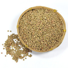 China Wholesale Cheap Price Grade A Top Quality Pure Organic Yellow Lentils